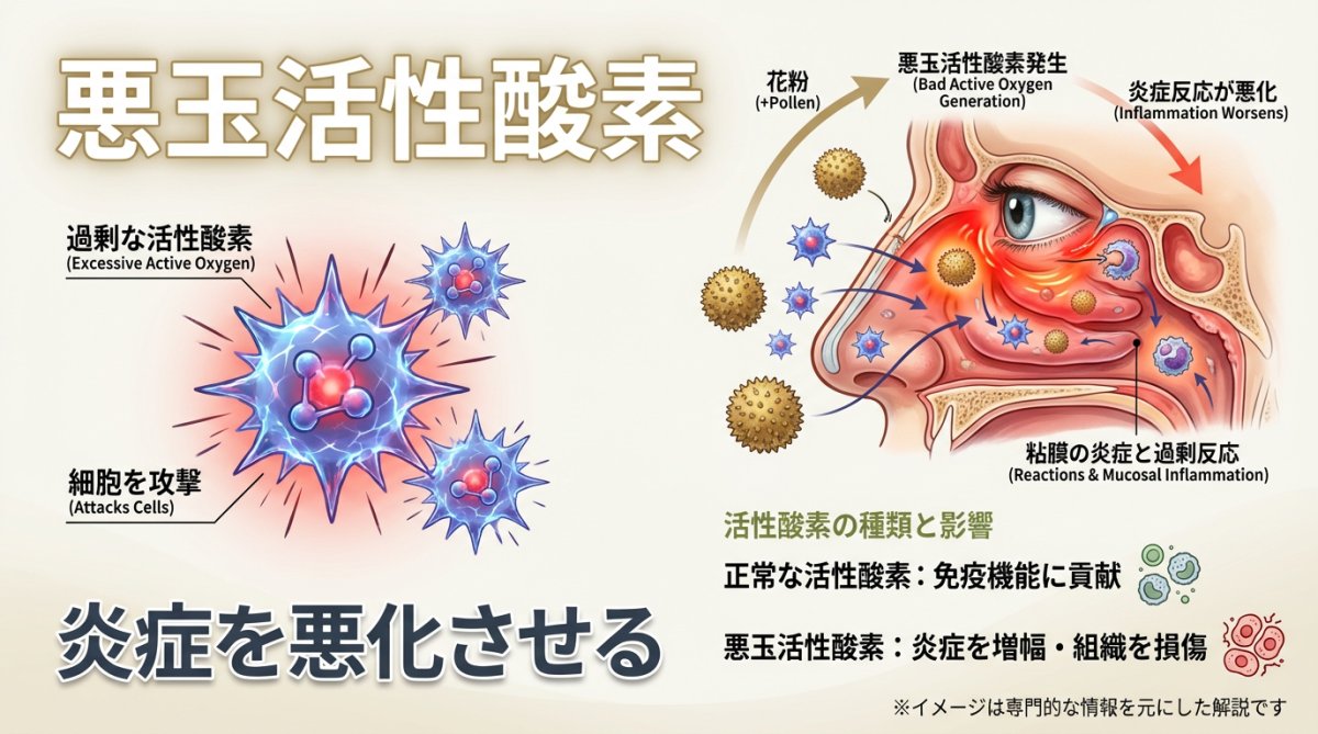 花粉症と悪玉活性酸素の関係を示すイメージ