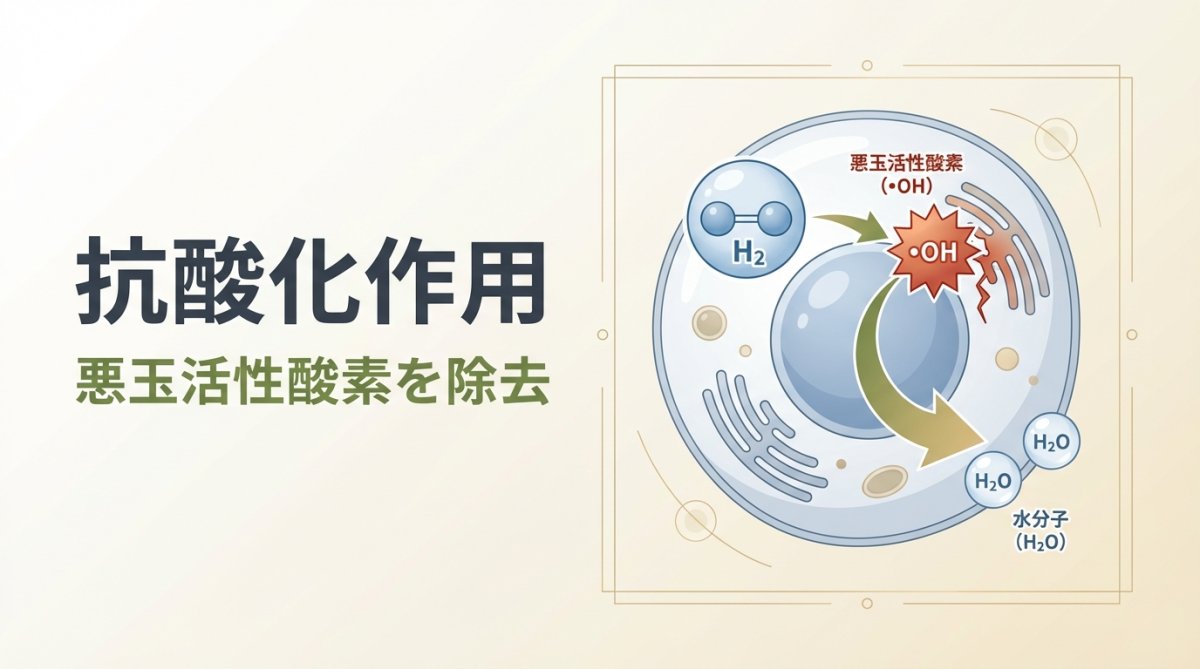 水素吸引療法の抗酸化メカニズムを示す医療イメージ