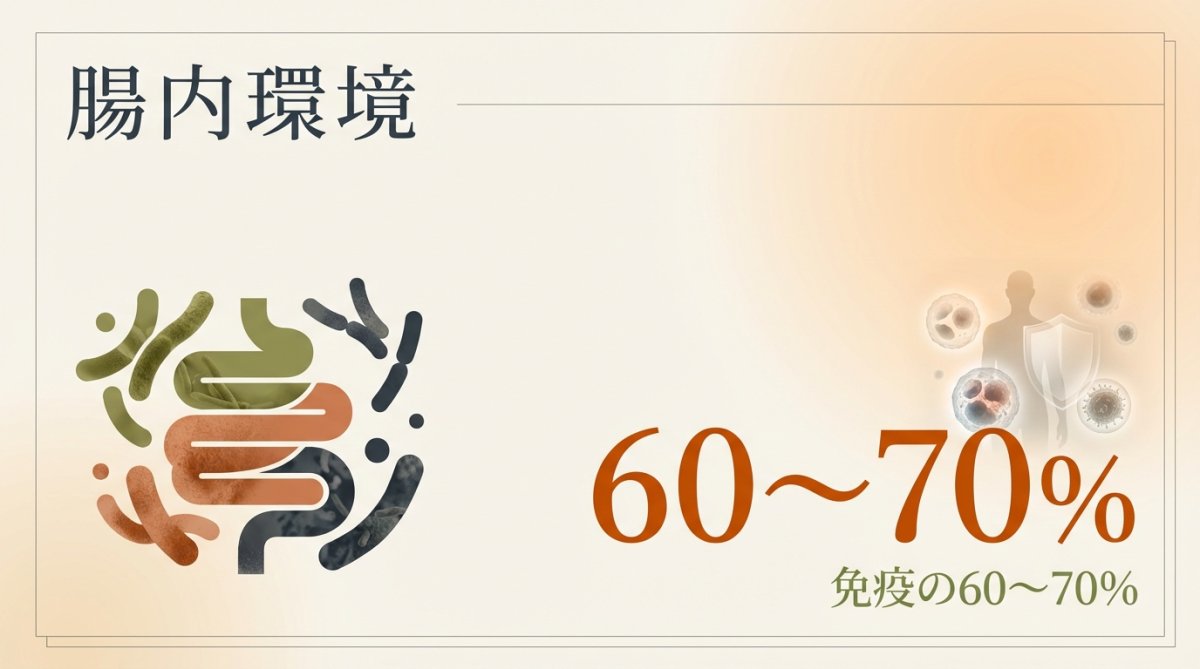 腸内環境と免疫システムの関係図